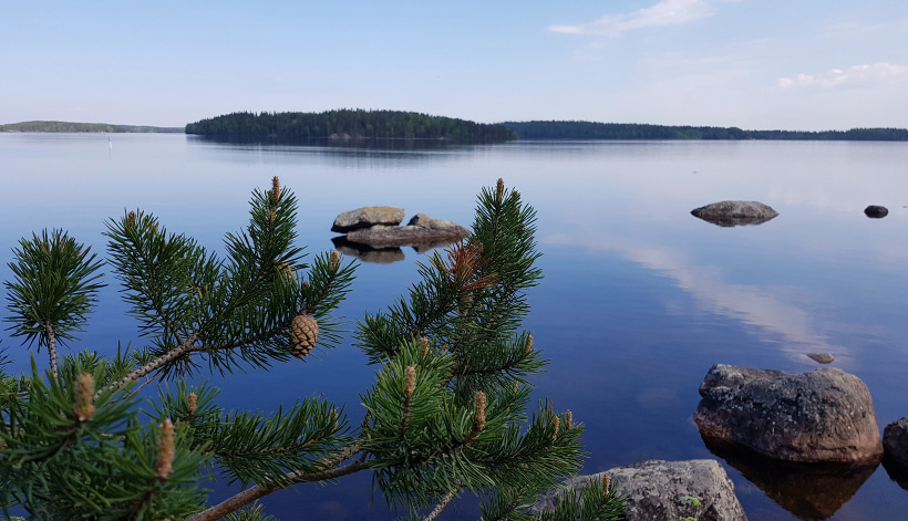 lammassaari-kuva-sgp-heli-rautanen