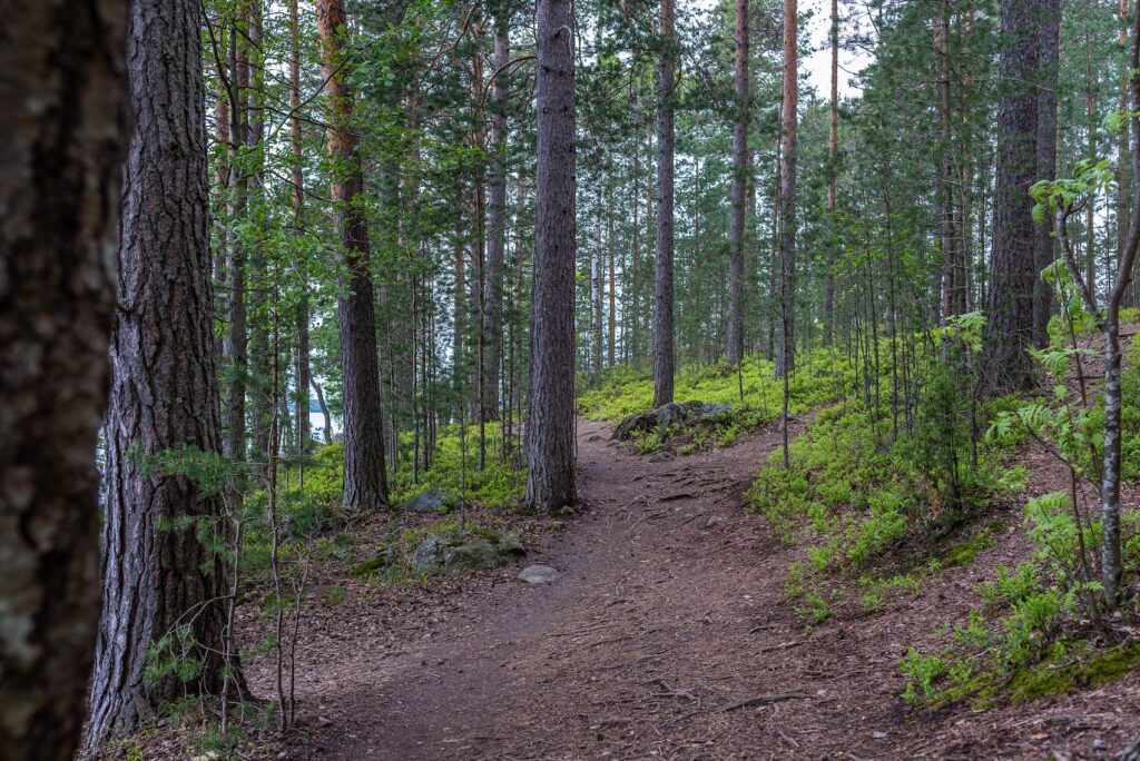 Maastopyörily Imatralla, Saimaan rannalla