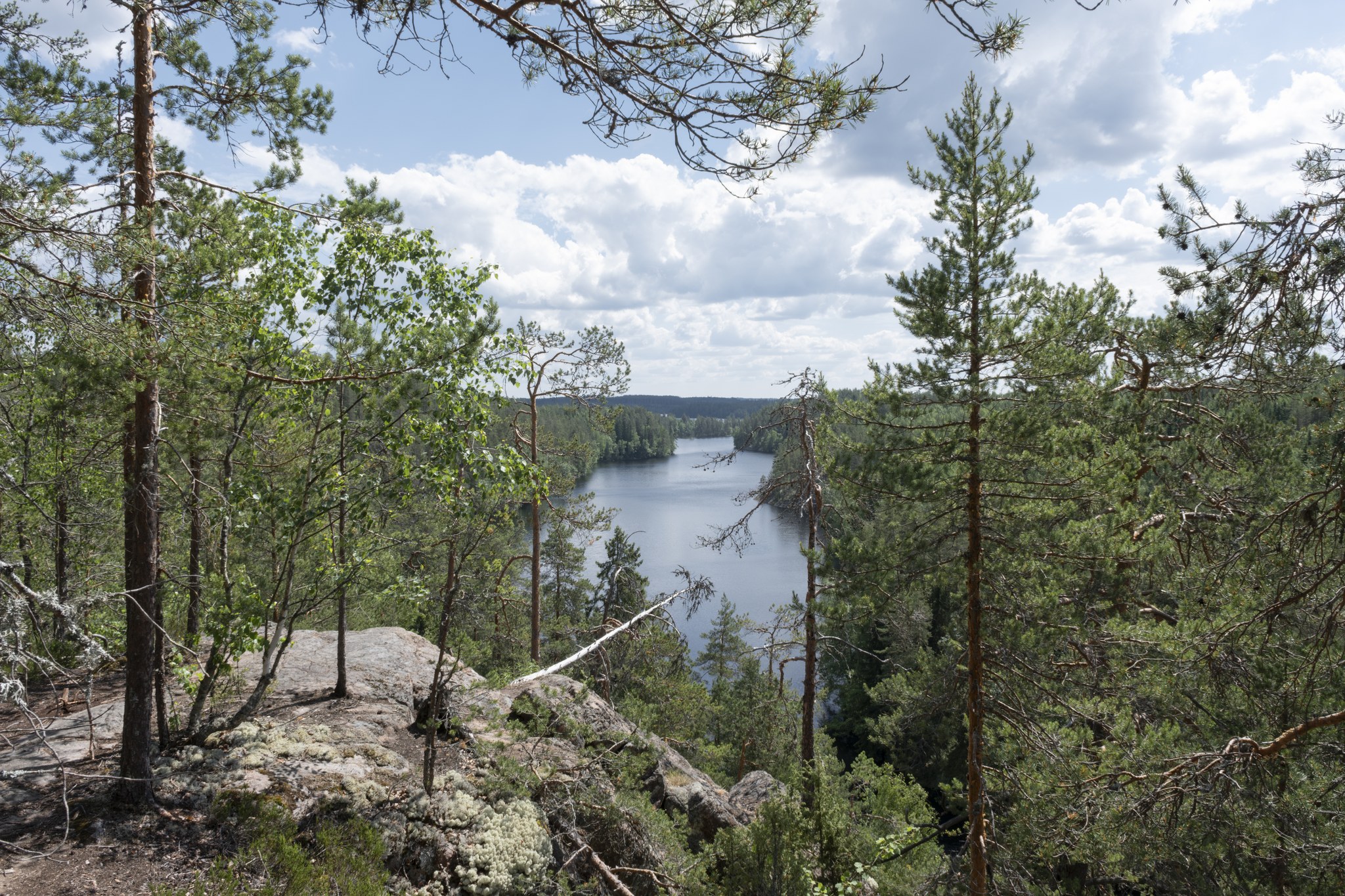 Savitaipaleen Orrainpolun maastopyöräilyreitti 