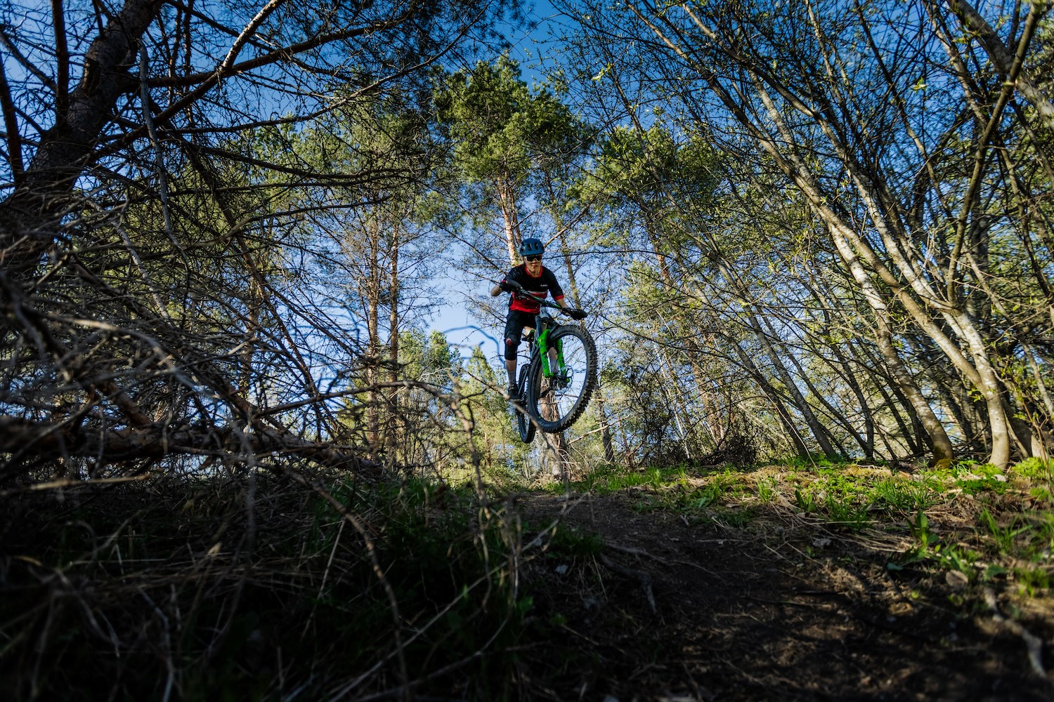 Ukonniemi Multi-Use Trails | Saimaa Cycling